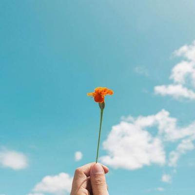 爱游戏·APP下载手机版